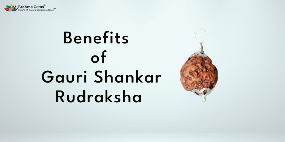 Gauri Shankar Rudraksha