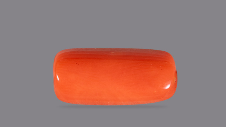 NATURAL RED CORAL (Moonga) CARATS Brahma Gems