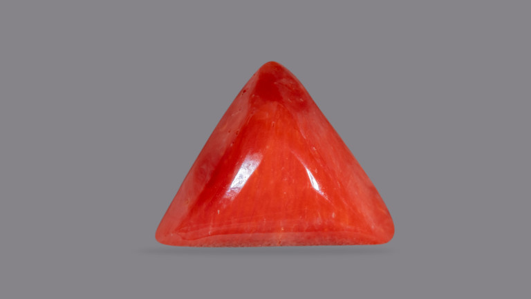 NATURAL RED CORAL (Moonga) CARATS Brahma Gems
