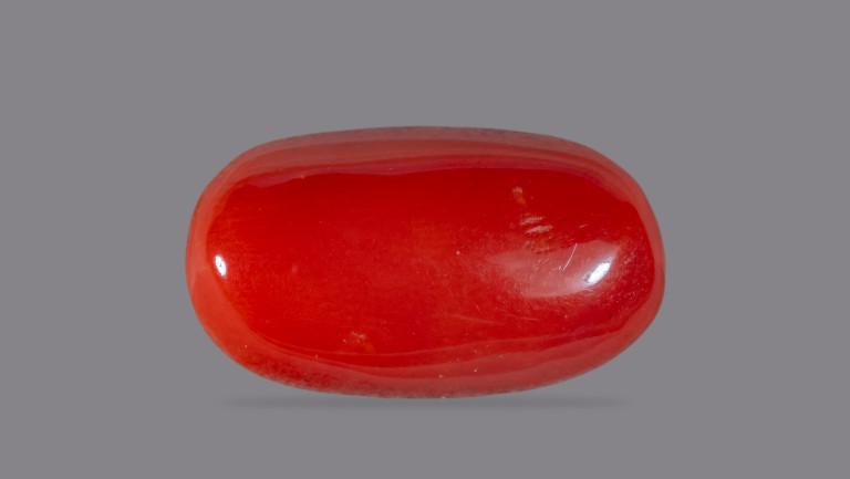 NATURAL RED CORAL (Moonga) CARATS Brahma Gems