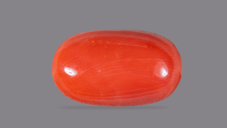 NATURAL RED CORAL (Moonga) CARATS Brahma Gems